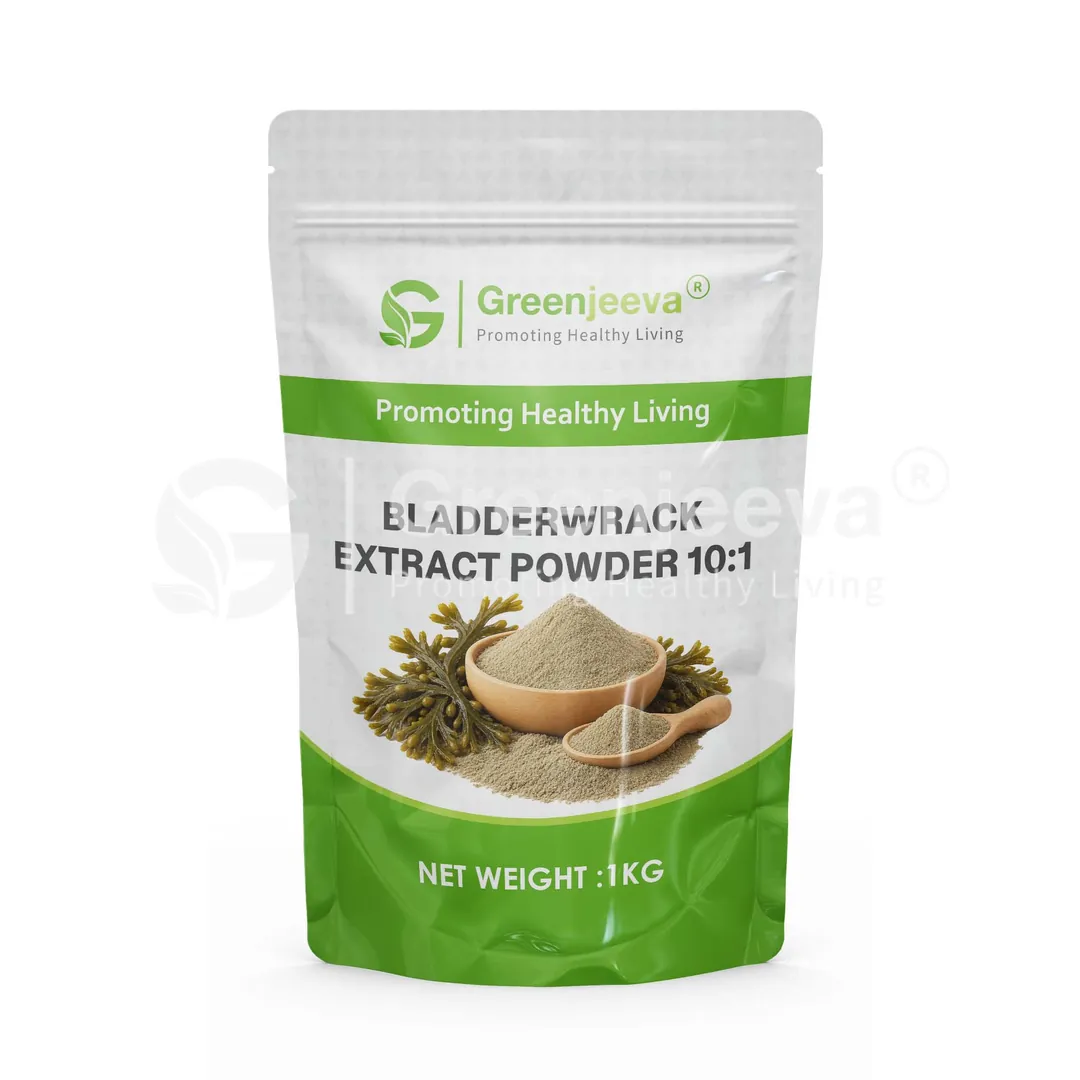 Bladderwrack Extract Powder 10 1 Pouch Bladderwrack Extract Powder 10 1 Pouch